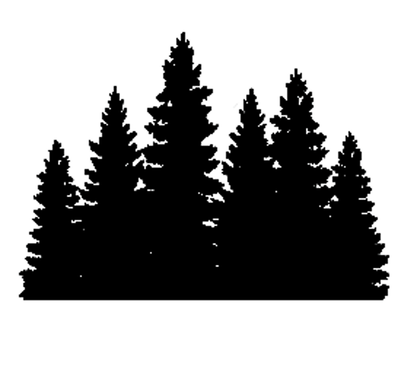 SoCoNews - Local Sacramento County News